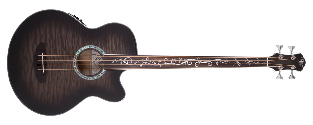 Dragonfly 4 Fretless Front