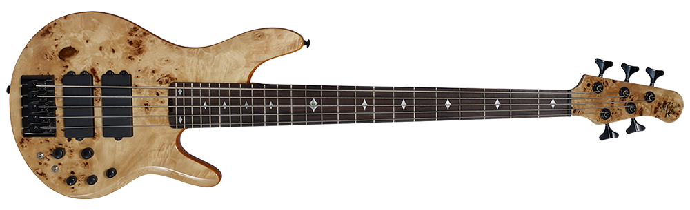 pinnacle 5 bass guitar nat burl front