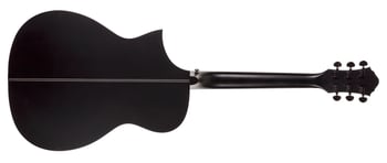 Forte Exotic Java Ebony Back