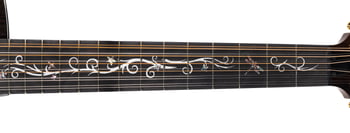 RJ Mod Shop 12 Fretboard Inlay Closeup