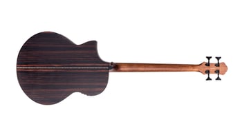 Dragonfly 4 Port Java Ebony Fretless Back