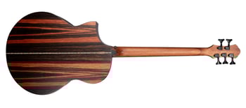 Dragonfly 5 Port JE Back