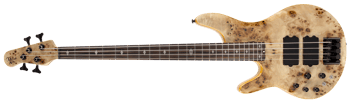 pinnacle 4 bass guitar front Lefty