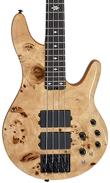 Pinnacle 4 bass guitar natural burl vert