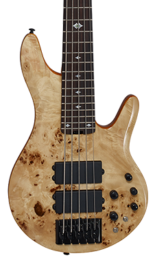 pinnacle 5 bass guitar natburl vert