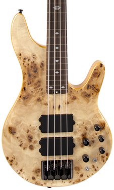 pinnacle 4 bass fretless nat burl guitar vert
