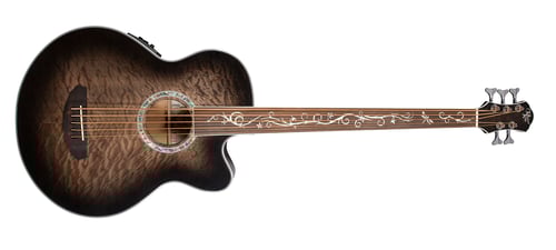 Dragonfly 5 Fretless Front