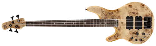 pinnacle 4 bass guitar front Lefty