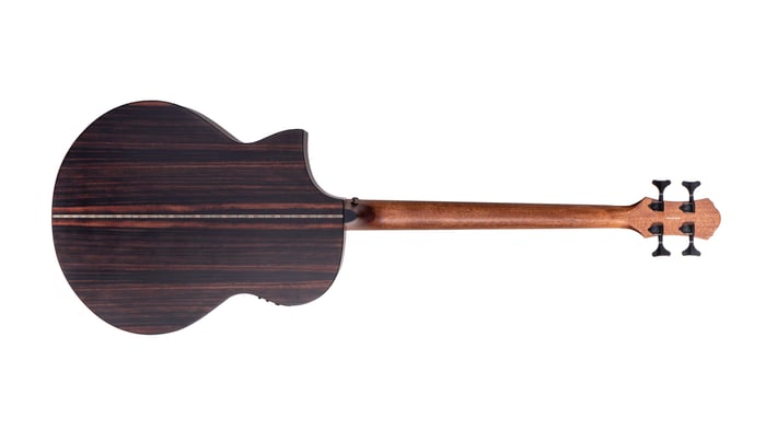 Dragonfly 4 Port Java Ebony Back Horizontal