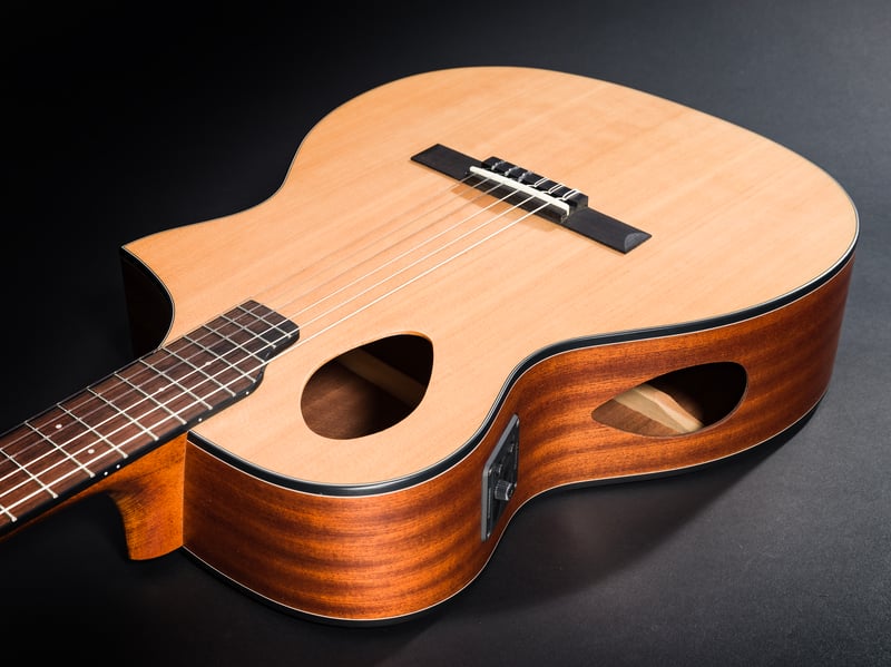 Forte Port Nylon Angled Port View