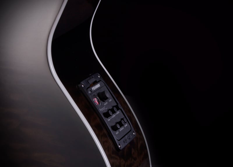 Dragonfly 5 Fishman Closeup