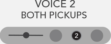 voice 2 both pickups