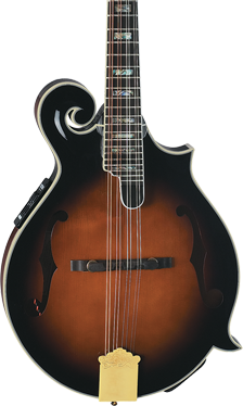 F Style Electric Mandolins | Michael Kelly Guitar Co.