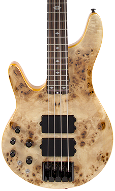 Pinnacle 6 bass guitar cherry burl