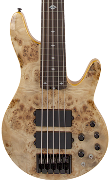 Pinnacle 5 bass guitar 5-string grey burl